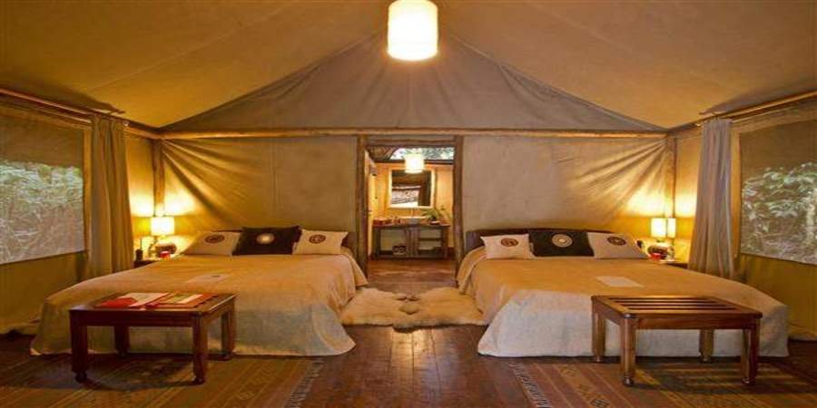 Gorilla Forest Camp - Luxury Safari Lodge in Bwindi Impenetrable National Park, Uganda